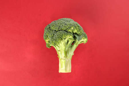 whole green broccoli closeup on red backgroundの写真素材