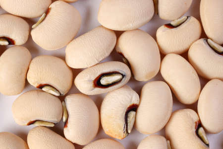 Blackeye beans on white background