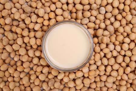 Soya milk in small glass bowl on bed of soyabean background