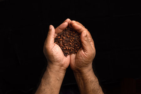 Asian dark skin top view two hand palm finger holding clove spice on black backgroundの写真素材