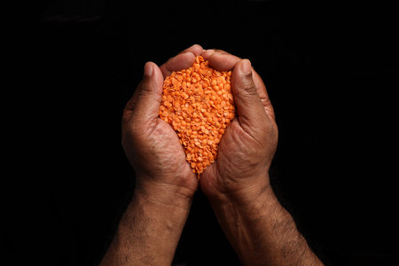 Asian dark skin top view two hand palm finger holding red lentil dahl on black backgroundの写真素材