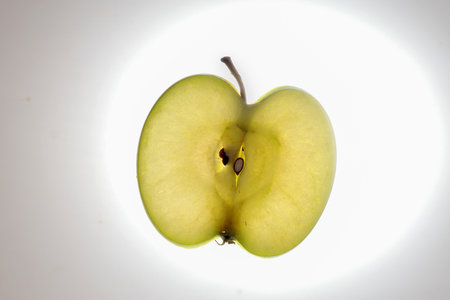 Green apple with seed half slice cross section macro closeup backlight on white backgroundの写真素材