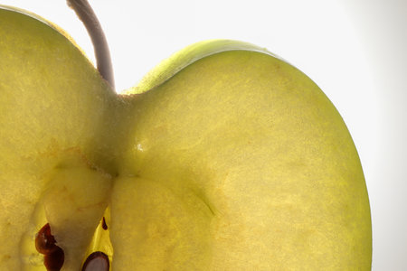 Green apple with seed half slice cross section macro closeup backlight on white backgroundの写真素材