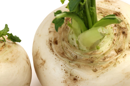 Small white round snowball radish on white background macro closeupの写真素材