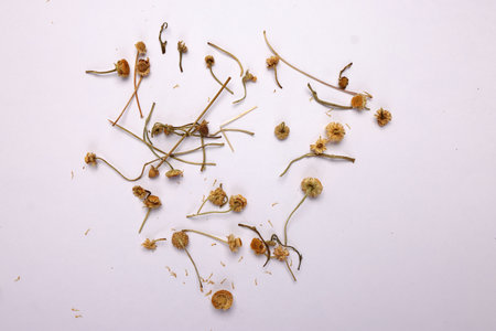 Dry flower tea rose bud butterfly pea chamomile flower on white backgroundの写真素材