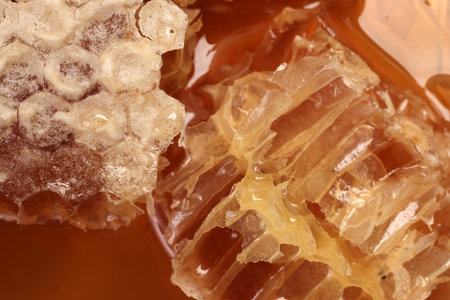 Sticky liquid honey natural geomatic hexagon honeycomb macro cluse upの写真素材