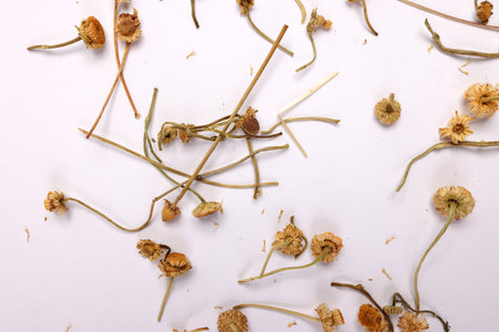 Dry flower tea rose bud butterfly pea chamomile flower on white backgroundの写真素材