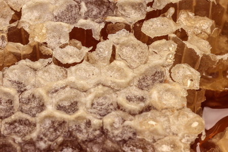 Sticky liquid honey natural geomatic hexagon honeycomb macro cluse upの写真素材