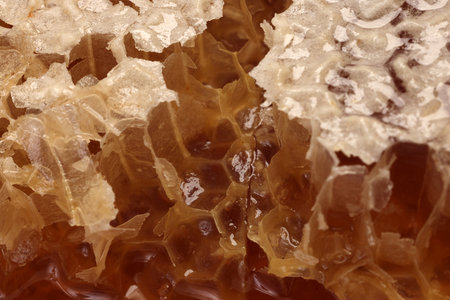 Sticky liquid honey natural geomatic hexagon honeycomb macro cluse upの写真素材