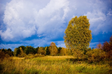 Autumn scene on the field.の写真素材