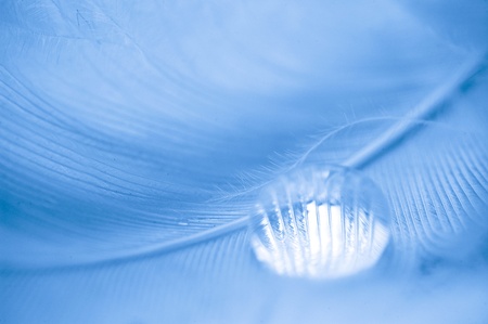 Macro photograph of the feather and water drop symbolizes purity.の写真素材