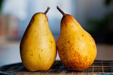 Two natural pears on the table to the breakfast.の写真素材