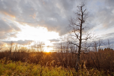 Autumn landscape by the sunriseの写真素材