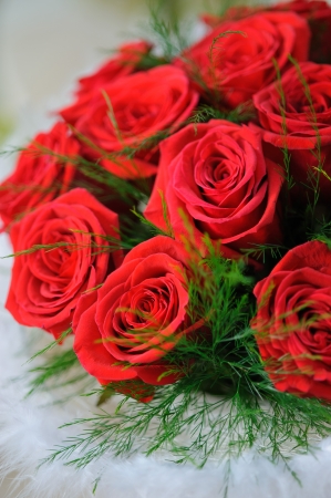 Red roses close up. Background.の写真素材