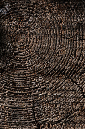 grown old wooden texture with cracksの写真素材