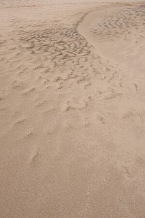 Background of the sand beach.