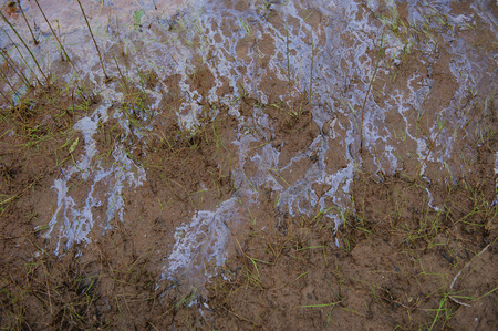 Pollution of water and beach.