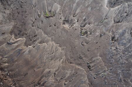 Close up background of the sand beach of  Vychegda river