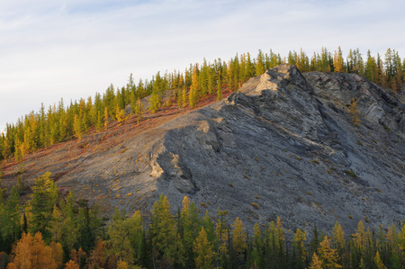 Landscape of sub-polar ural mountainsの写真素材
