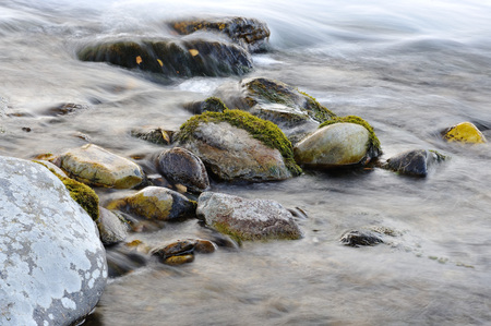 Creek of sub-polar ural mountains. Close up background.の写真素材