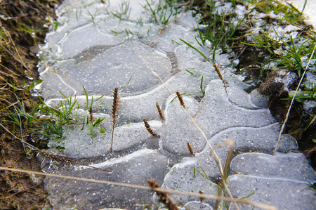 Frozen thin crust of ice on the ground.の写真素材