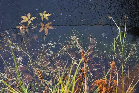 view under thin ice on the lake.