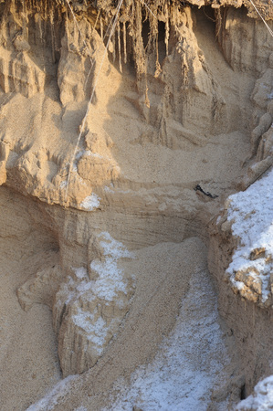 A fragment of the plot of the ground prone to erosionの写真素材