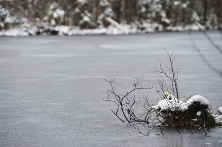 The landscape of late autumn. Forest lake covered with a thin crust of ice and the first snow.
