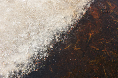 Thaw with formed on the ground puddle in forest in beginning of spring.の写真素材