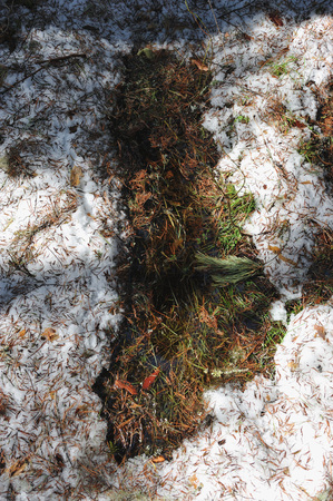 Thaw with formed on the ground puddle in forest in beginning of spring.の写真素材