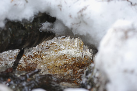 Spring melting of ice. Icicles and flow of water.の写真素材