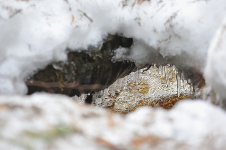 Spring melting of ice. Icicles and flow of water.の写真素材