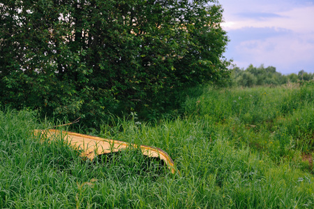Broken rowing boat overgrown with tall grassの写真素材