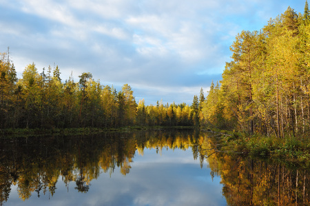 The shore of the forest lake in early autumn.の写真素材