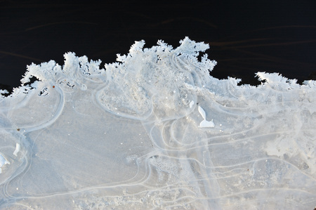 Thin transparent ice on the surface of the reservoir with dried grass and air bubbles under it.の写真素材