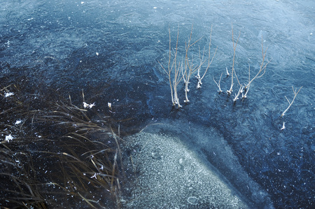 Thin transparent ice on the surface of the reservoir with dried grass and air bubbles under it.の写真素材