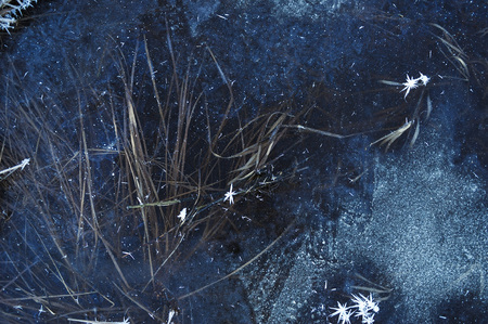 Thin transparent ice on the surface of the reservoir with dried grass and air bubbles under it.の写真素材