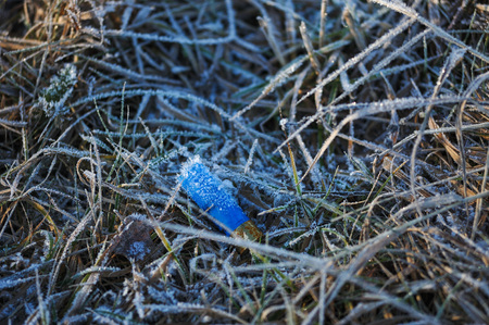 Plastic sleeve hunting cartridge in the grass on the field, covered with frost from moisture and frost.の写真素材