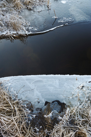 Thin transparent ice on the surface of the reservoir with dried grass and air bubbles under it.の写真素材