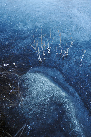 Thin transparent ice on the surface of the reservoir with dried grass and air bubbles under it.の写真素材