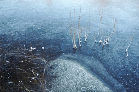 Thin transparent ice on the surface of the reservoir with dried grass and air bubbles under it.の写真素材