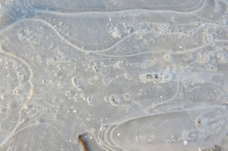 Thin transparent ice on the surface of the reservoir with dried grass and air bubbles under it.の写真素材