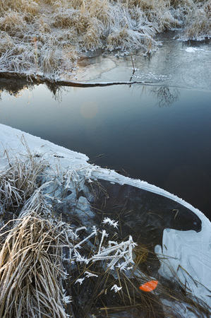 Thin transparent ice on the surface of the reservoir with dried grass and air bubbles under it.の写真素材