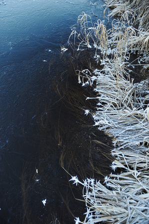Thin transparent ice on the surface of the reservoir with dried grass and air bubbles under it.の写真素材