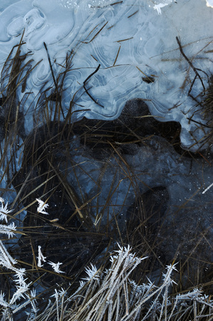 Thin transparent ice on the surface of the reservoir with dried grass and air bubbles under it.の写真素材