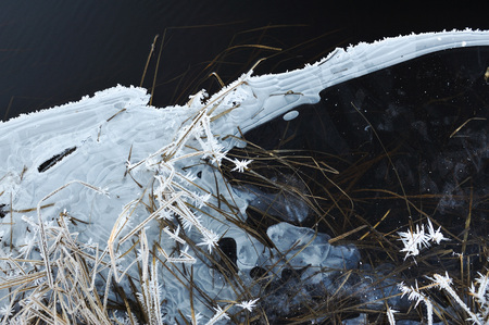 Thin transparent ice on the surface of the reservoir with dried grass and air bubbles under it.の写真素材