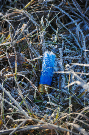 Plastic sleeve hunting cartridge in the grass on the field, covered with frost from moisture and frost.の写真素材