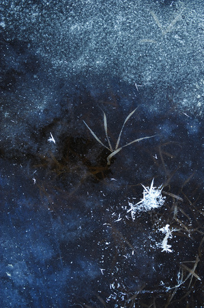 Thin transparent ice on the surface of the reservoir with dried grass and air bubbles under it.の写真素材