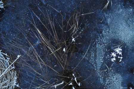 Thin transparent ice on the surface of the reservoir with dried grass and air bubbles under it.の写真素材