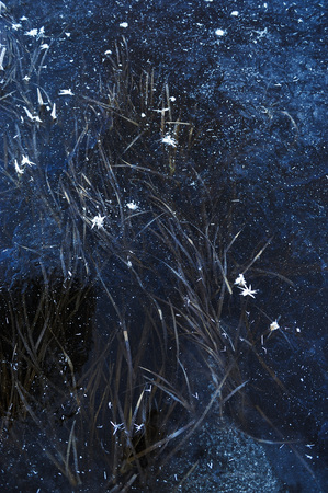 Thin transparent ice on the surface of the reservoir with dried grass and air bubbles under it.の写真素材